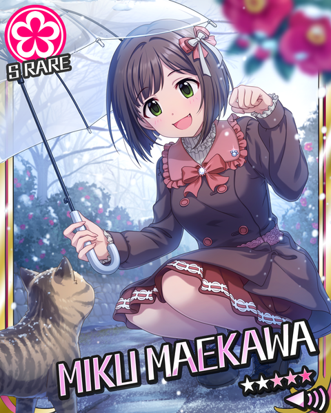 シンデレラライブラリー │ アイドルマスター シンデレラガールズ