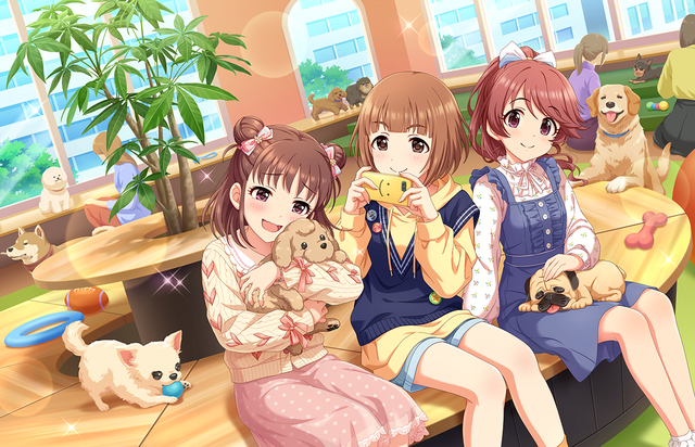 シンデレラライブラリー │ アイドルマスター シンデレラガールズ